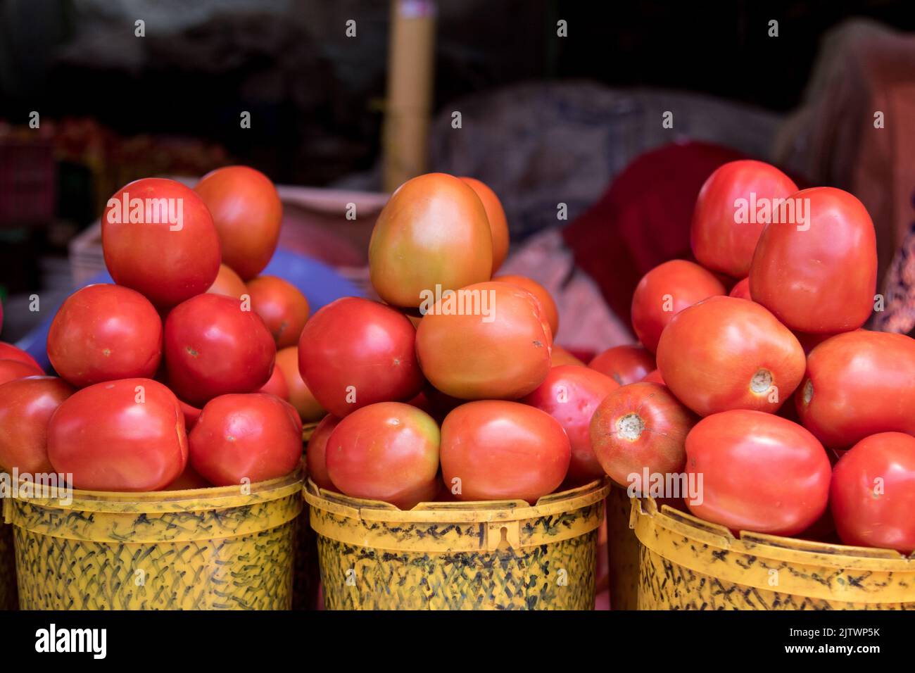 Nakuru, Kenia. 01. September 2022. Ein Blick auf Tomaten auf einem Frischemarkt in Nakuru Town. Die Inflation in Kenia stieg im August, dem Monat, in dem die Parlamentswahlen stattfanden, auf 8,5 %, wobei die Nahrungsmittelinflation bei 15,3 % lag. Der Anstieg ist seit März 2022 im Aufwärtstrend. (Foto von James Wakibia/SOPA Images/Sipa USA) Quelle: SIPA USA/Alamy Live News Stockfoto