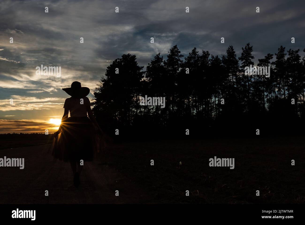 Strahlen der untergehenden Sonne beleuchten Pfad der schön gekleideten Frau in Hut und High Heels gehen zum Sonnenuntergang Party zu geheimnisvollen Wald, Rückansicht Stockfoto