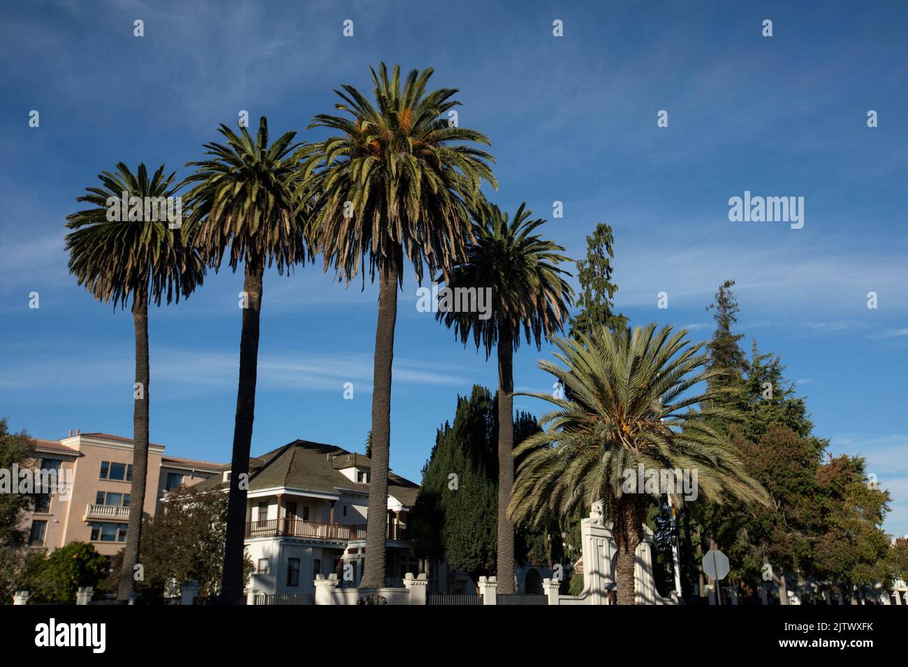 Nachmittagsansicht eines Wohnviertels in der Nähe der Innenstadt von San Leandro, Kalifornien, USA. Stockfoto