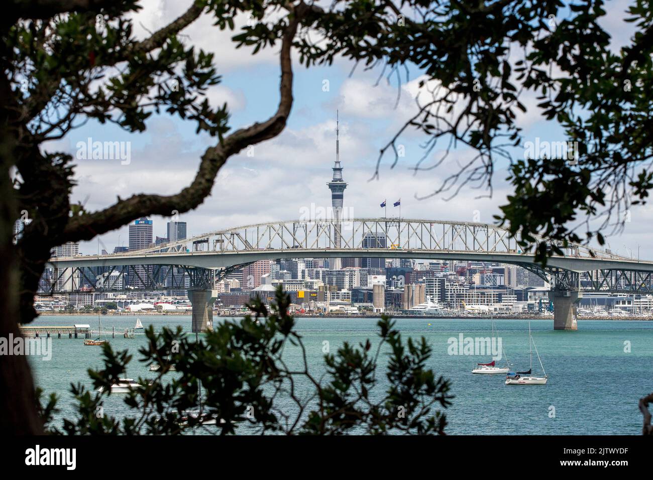 Auckland Harbour Bridge mit Sky Tower und Stadt im Hintergrund, eingerahmt von Bäumen, Auckland, Neuseeland Stockfoto