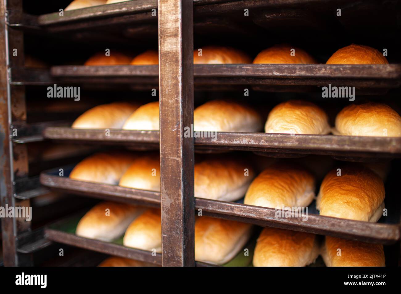 Frisch gebackene Brotlappen auf einem Regal Stockfoto