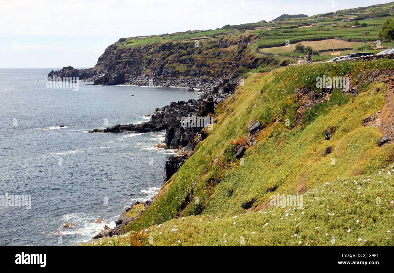 Meeresblick von den Klippen, Vulkanfelsen unten, Cinco Ribeiras, Terceira, Azoren, Portugal Stockfoto