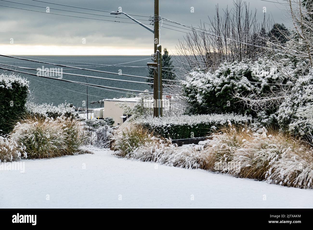 Schnee in einem Garten in West Vancouver, BC, Kanada. Stockfoto