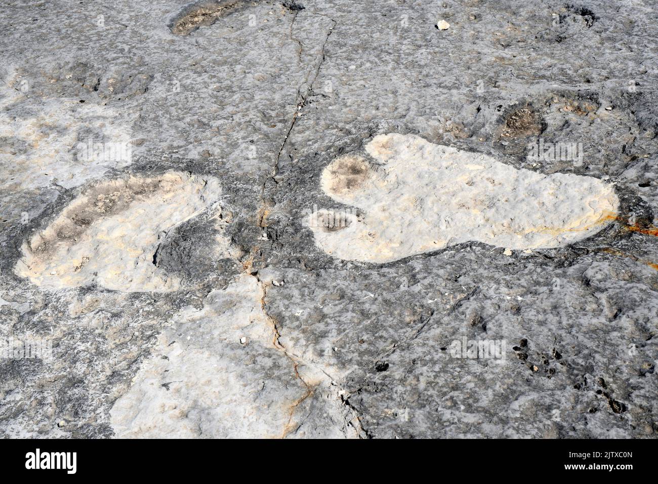 Sauropoden-Dinosaurier-Ichniten (Fußabdrücke) aus dem Mittleren Jura, vor 168 Ma. Druck der vorderen und hinteren Pfoten. Dieses Foto wurde in Pedreira do aufgenommen Stockfoto