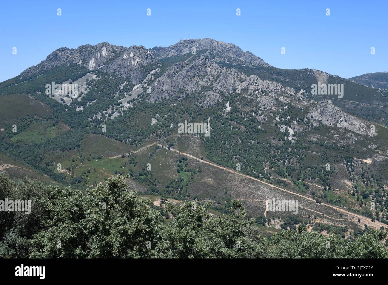 Armorican Quarzite in Pico Villuercas. Villuercas-Ibores-Jara Geopark, Caceres, Expremadura, Spanien. Stockfoto