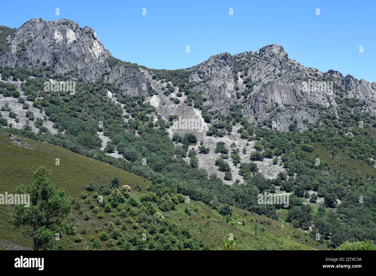 Appalachisches Relief mit Armorikanquarziten in Villuercas-Ibores-Jara Geopark, Caceres, Expremadura, Spanien. Stockfoto