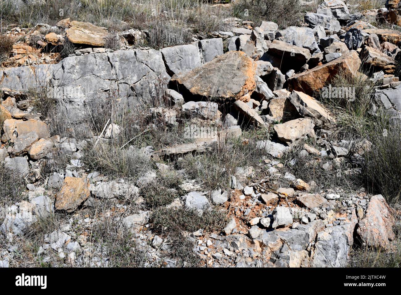 Schwarzer Kalkstein aus Jurassic. Dieses Foto wurde in Aldealpozo, Soria, Castilla y Leon, Spanien aufgenommen. Stockfoto