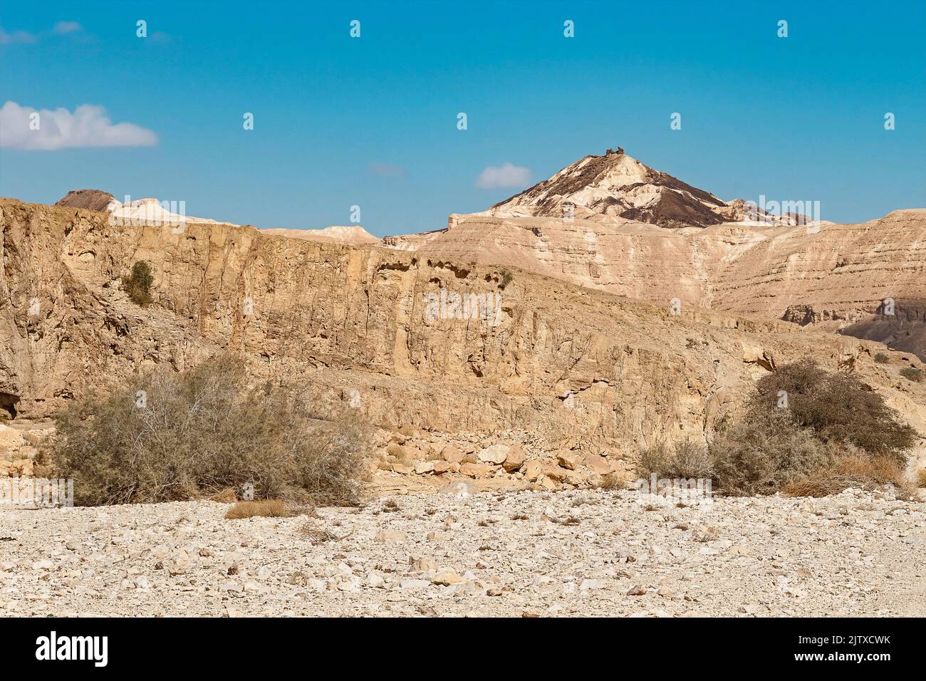 Ein krabbenförmiger Felsblock auf einem vulkanförmigen Kalkstein- und Steinhügel in Israel hinter dem Nekarot-Bach mit blauem Himmel im Hintergrund Stockfoto