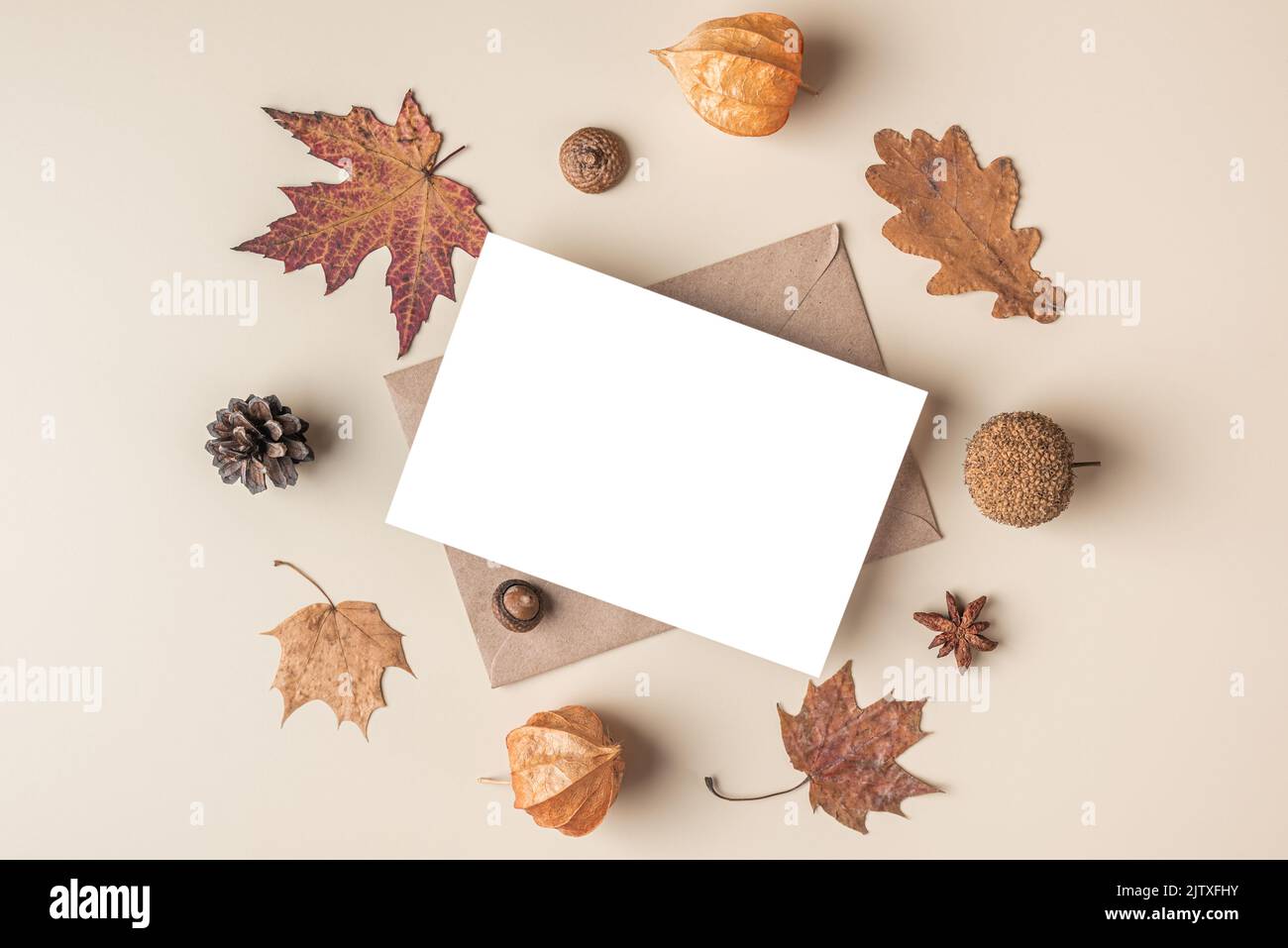 Herbst-Grußkarte im Rahmen aus trockenen Blättern, Blumen, Eichel, Tannenzapfen, Anisstern auf beigem Hintergrund. Modell. Flach liegend, Draufsicht mit Copy Spa Stockfoto