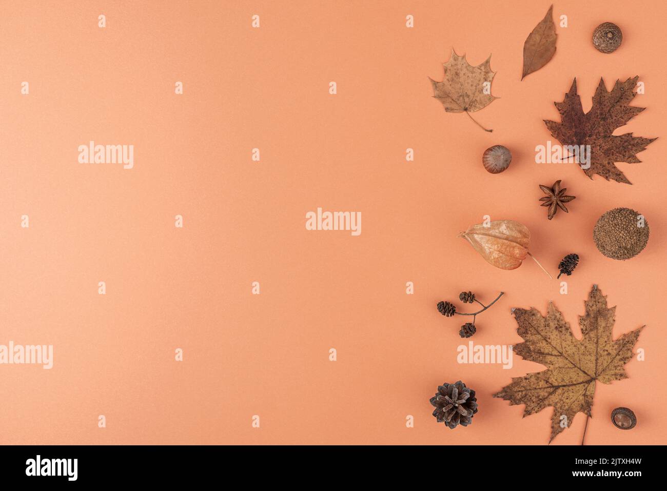 Herbst monochromer Hintergrund aus trockenen Blättern, Blumen, Eichel, Nüssen auf orangefarbenem Hintergrund. Flach liegend. Draufsicht mit Kopierbereich Stockfoto