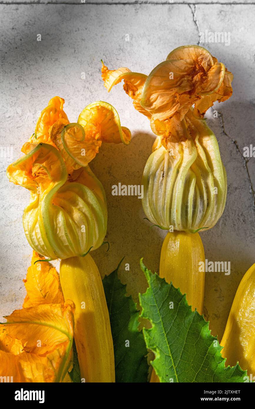 Frische gelbe Zucchini oder Squash mit Blumen auf sonnenbeschienenen Hintergrund mit Schatten. Draufsicht. Vegane Bio-Lebensmittel. Vertikale Ausrichtung. Frisch geerntet Stockfoto