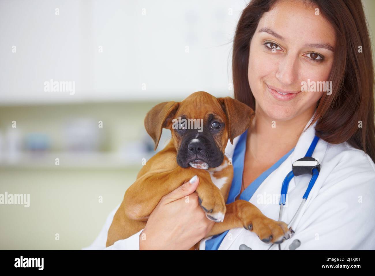 Ihr Welpe ist wieder gesund. Porträt eines hübschen lächelnden Tierarztes, der einen Welpen hält und die Kamera anlächelt. Stockfoto