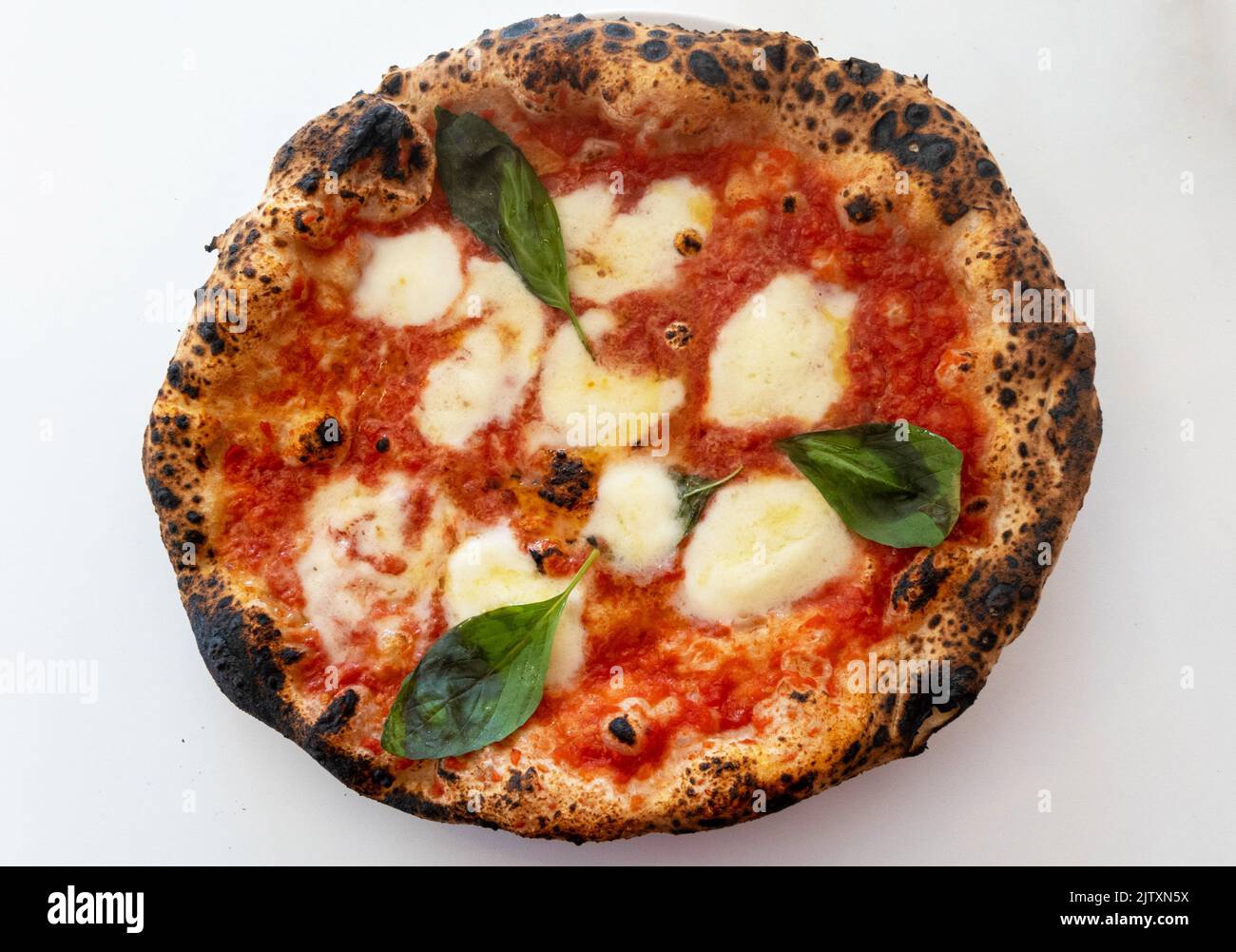 Pizza Margarita mit Büffelmozzarella, Tomate und Basilikum - die drei Farben der italienischen Flagge Stockfoto