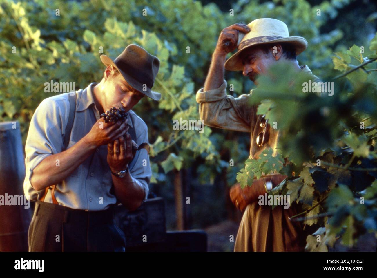 Ein Spaziergang in den Wolken Jahr : 1995 USA Regie : Alfonso Arau Keanu Reeves , Giancarlo Giannini Stockfoto