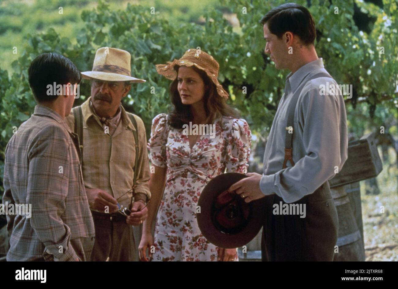 Ein Spaziergang in den Wolken Jahr : 1995 USA Regie : Alfonso Arau Freddy Rodríguez, Giancarlo Giannini, Aitana Sánchez-Gijón, Keanu Reeves Stockfoto