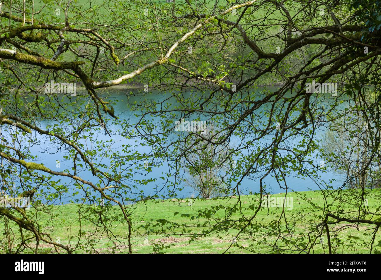 Clatworthy Reservoir im Frühjahr an den Südhängen der Brendon Hills, Somerset, England. Stockfoto