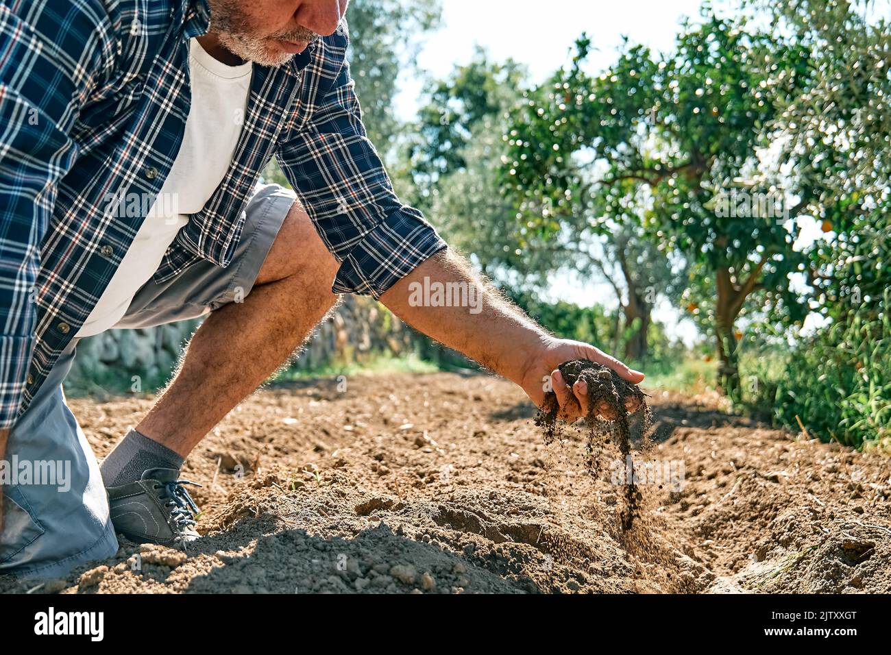 Landwirt Überprüfung der Bodengesundheit vor dem Wachstum einer Pflanze Sämling oder Aussaat von Samen auf dem Feld. Männliche Hände halten fruchtbaren Boden. Landwirtschaft, Bio-Gardeni Stockfoto