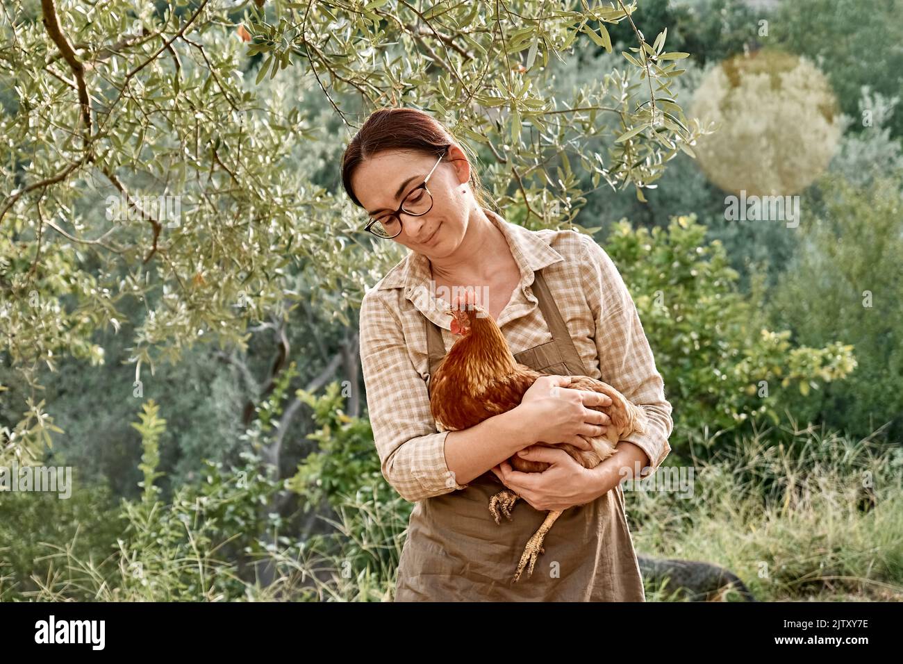 Frau mit brauner Henne in den Händen auf dem Bauernhof. Freiweidende Haushenne auf einem traditionellen Bio-Bauernhof mit freilandem Geflügel. Stockfoto