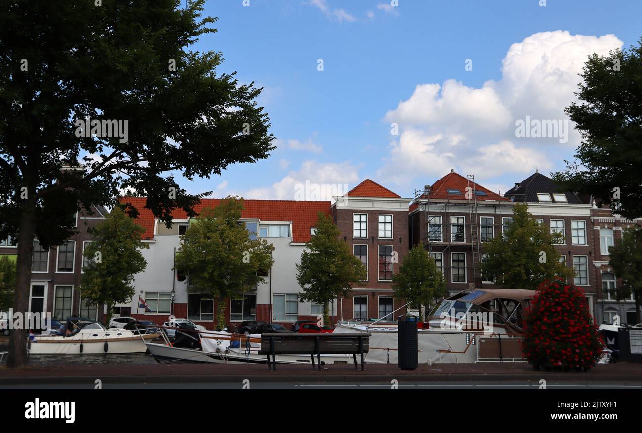 Wunderschöner Blick auf die holländische Stadt. Haarlem, Niederlande. Sommer in Europa. Holländische Architektur Foto. Stockfoto