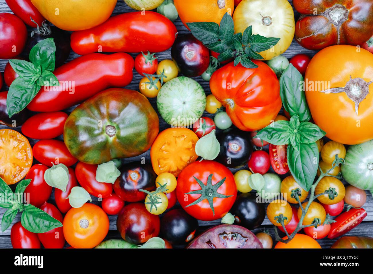 Verschiedene Sorten Art von roten, gelben, grünen und schwarzen Tomaten mischen. Frisch sortiert bunte Sommer Tomaten Hintergrund, Nahaufnahme. Food-Fotografie Stockfoto