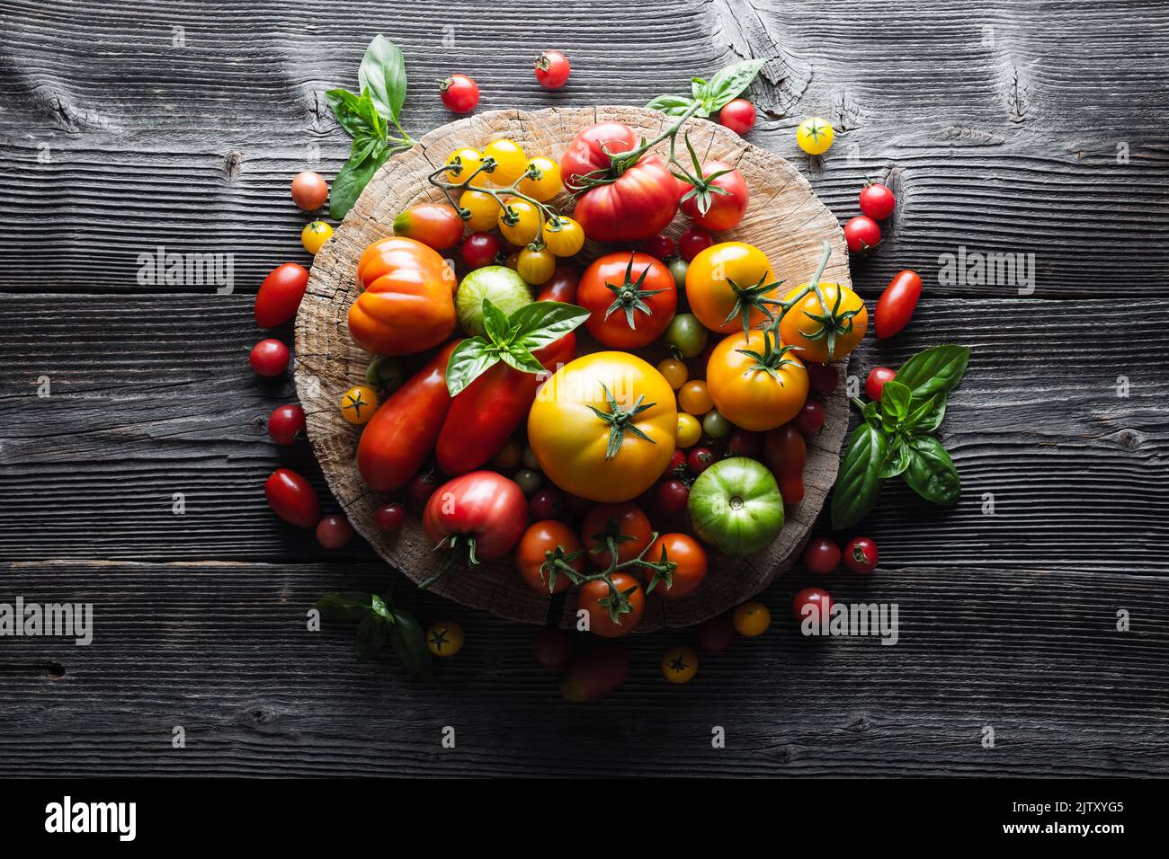 Verschiedene Sorten von roten, gelben, grünen und schwarzen Tomaten mischen sich auf einem Holztisch. Frisch sortiert bunte Sommer Tomaten Hintergrund, Nahaufnahme. Food-Fotografie Stockfoto