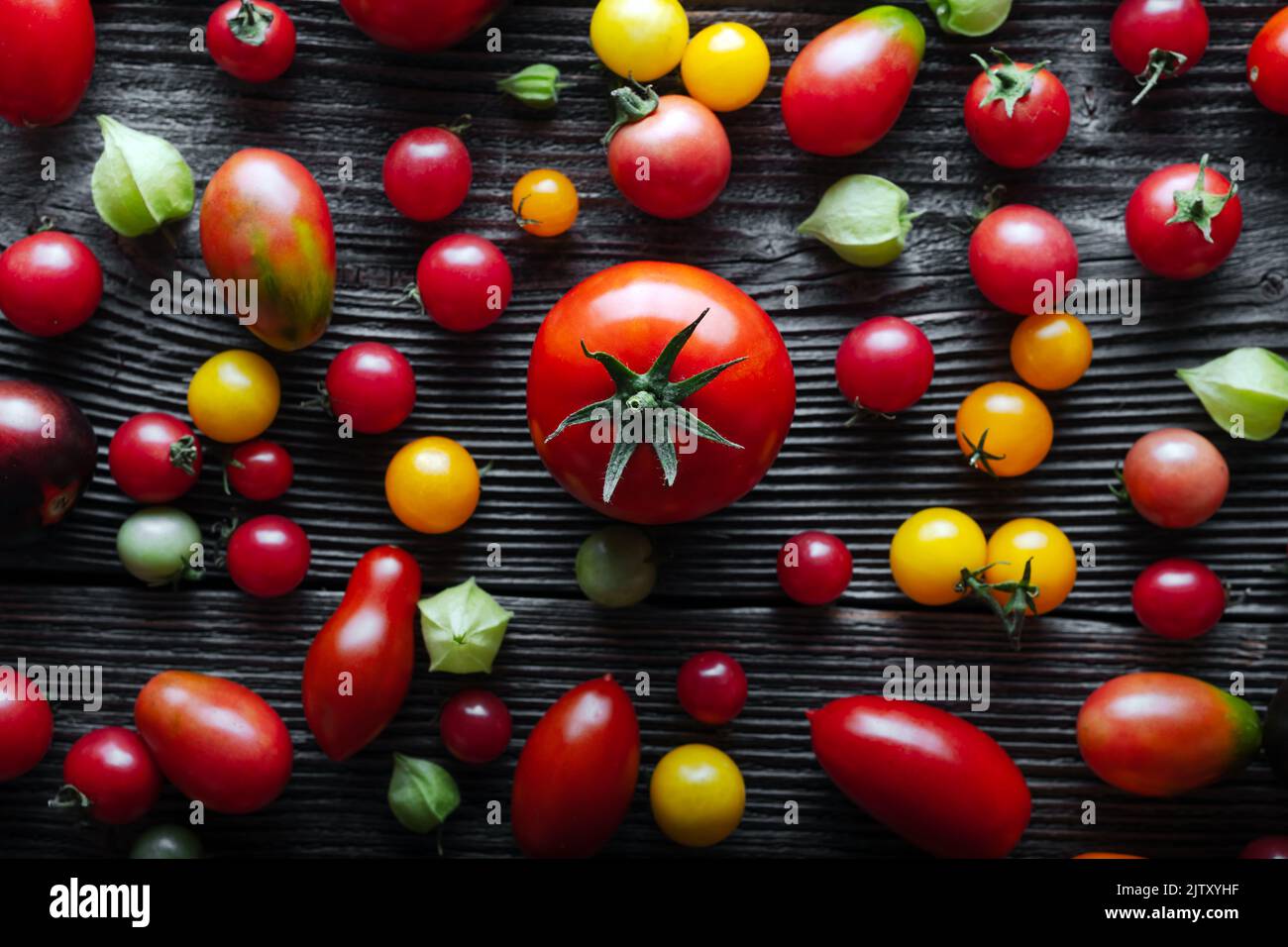 Verschiedene Sorten von roten, gelben, grünen und schwarzen Tomaten mischen sich auf einem Holztisch. Frisch sortiert bunte Sommer Tomaten Hintergrund, Nahaufnahme. Food-Fotografie Stockfoto