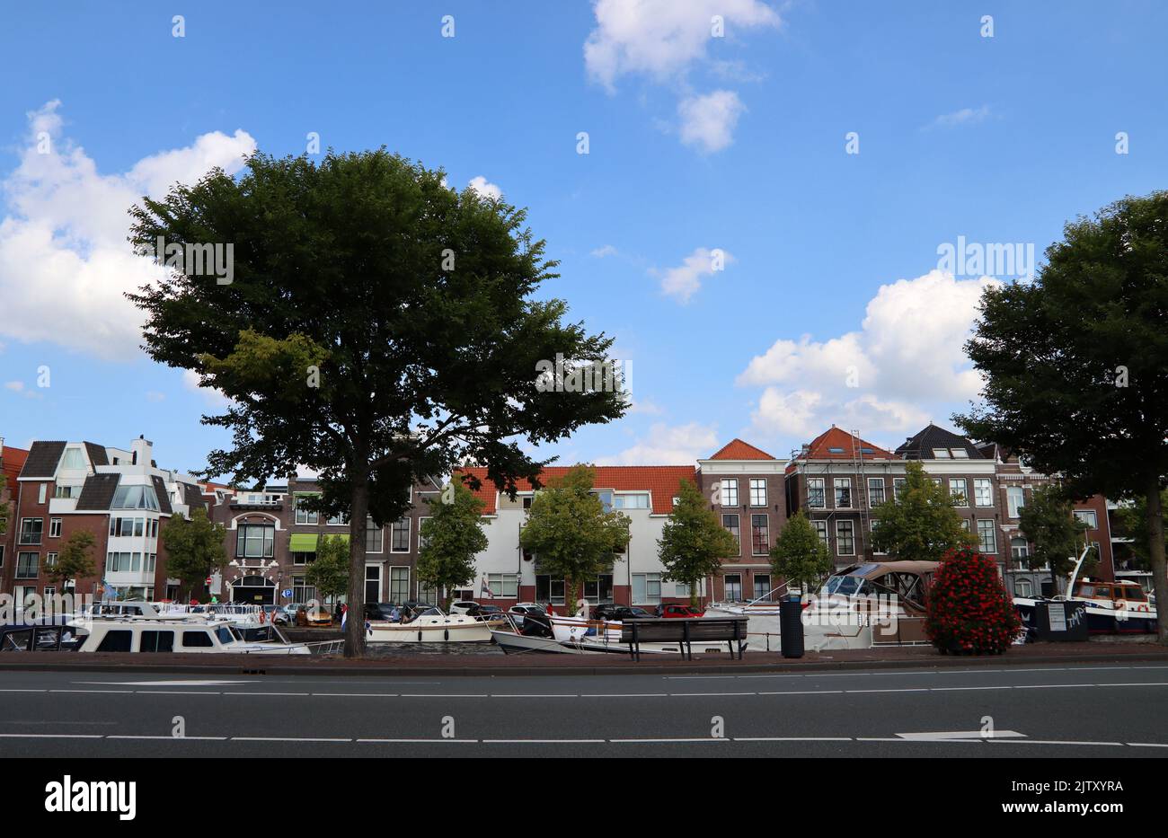 Wunderschöner Blick auf die holländische Stadt. Haarlem, Niederlande. Sommer in Europa. Holländische Architektur Foto. Stockfoto