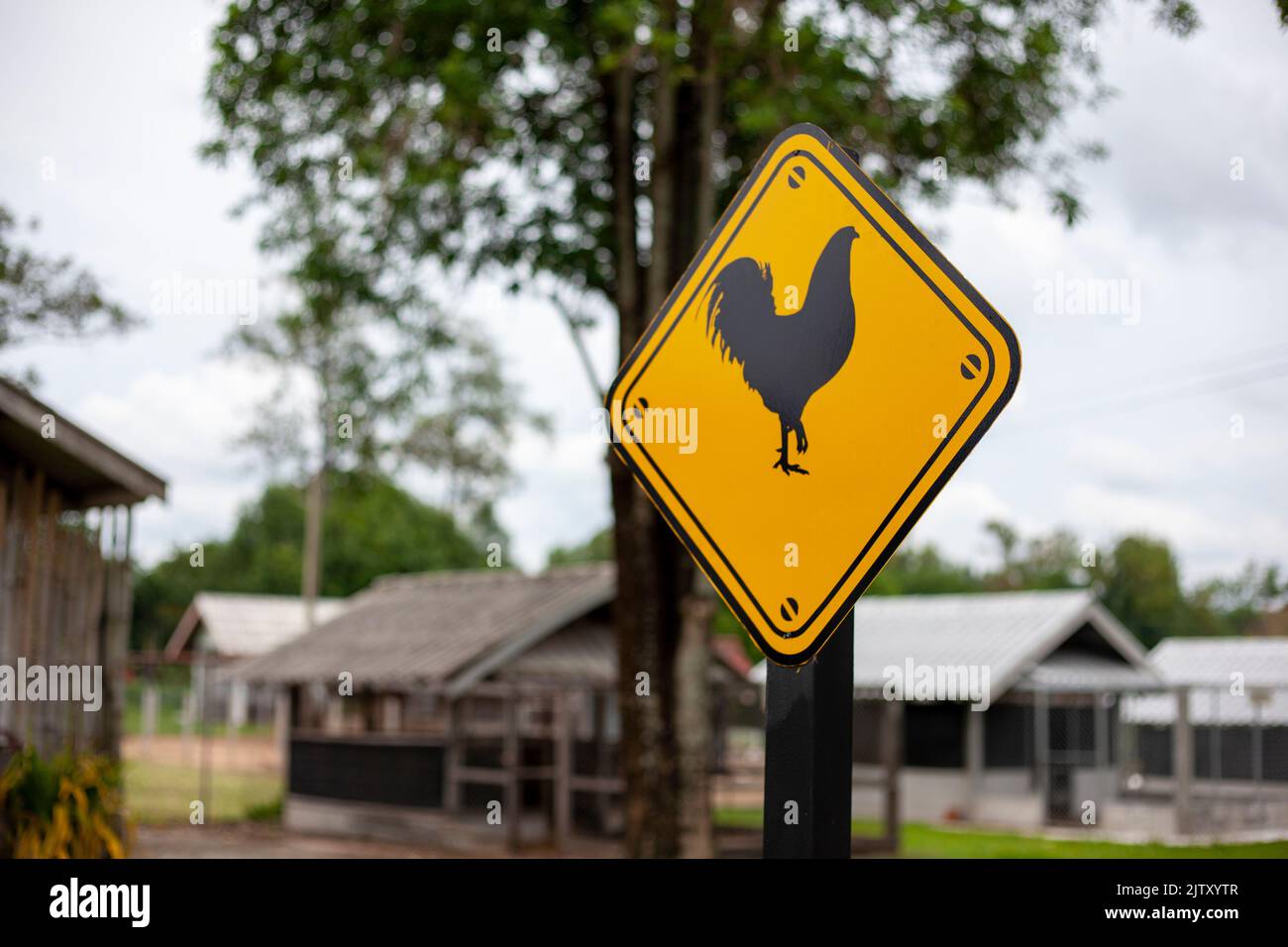 Hühnersymbol für den Hühnerstall auf dem Bauernhof Stockfoto