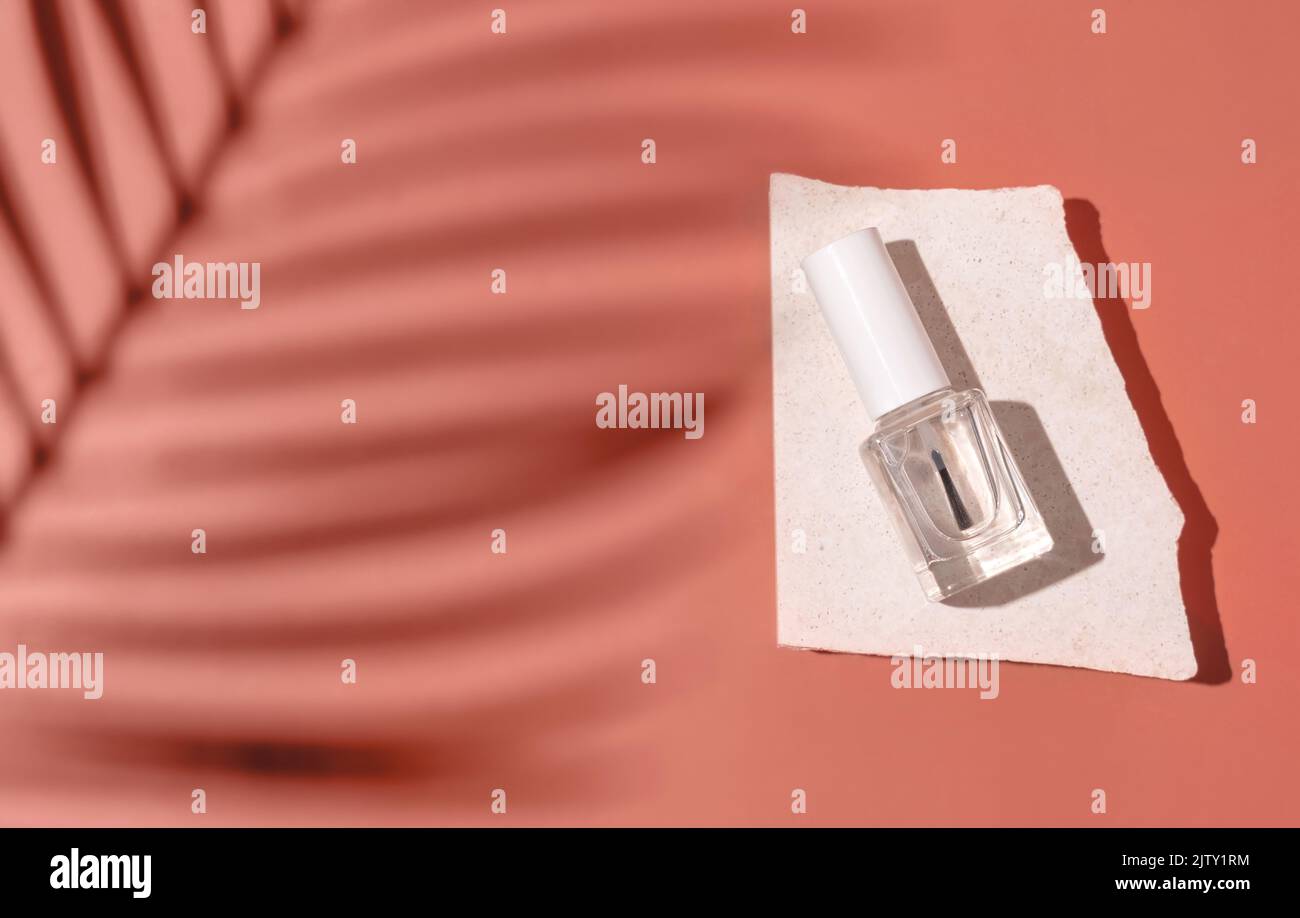 Wiederfüllbare Flasche aus klarem Glas mit Bürstendeckel auf Stein auf rosa Draufsicht, harter Schatten von Palmblättern, Mockup. Hautpflege oder Nagelprodukt. Naturkosmetik, m Stockfoto