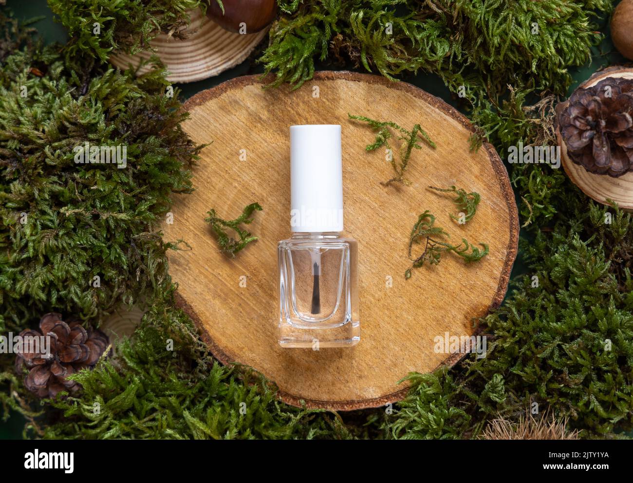 Nachfüllbare Flasche mit Bürstendeckel auf Holzstück zwischen grünem Moos, Pinienzapfen und Nüssen, Draufsicht, Mockup. Hautpflege Beauty-Produkt-Paket. Natürliches O Stockfoto