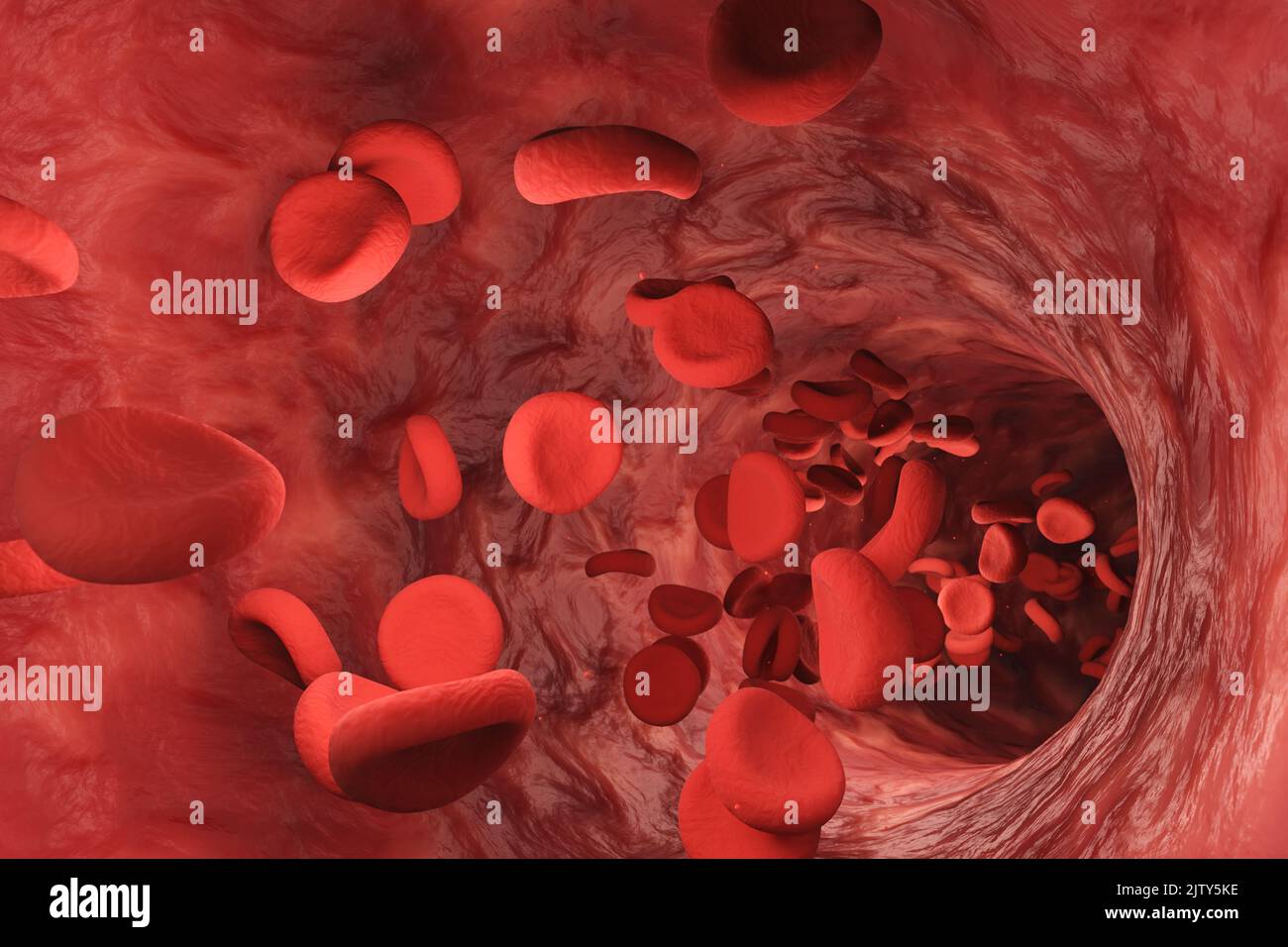 Rote Blutkörperchen, die in einem Blutgefäß fließen. 3D Illustration des menschlichen Kreislaufsystems Stockfoto