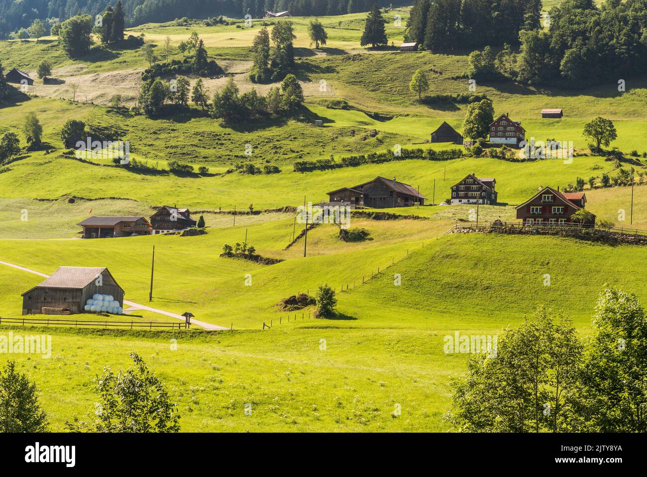 Bauernhöfe und grüne Wiesen und Weiden in den Schweizer Alpen, Toggenburg, Kanton St. Gallen, Schweiz Stockfoto