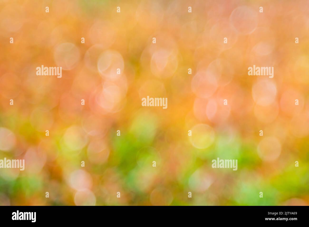 Bokeh Hintergrund mit natürlichem Licht, grün, gelb, orange mit verschwommen Stockfoto