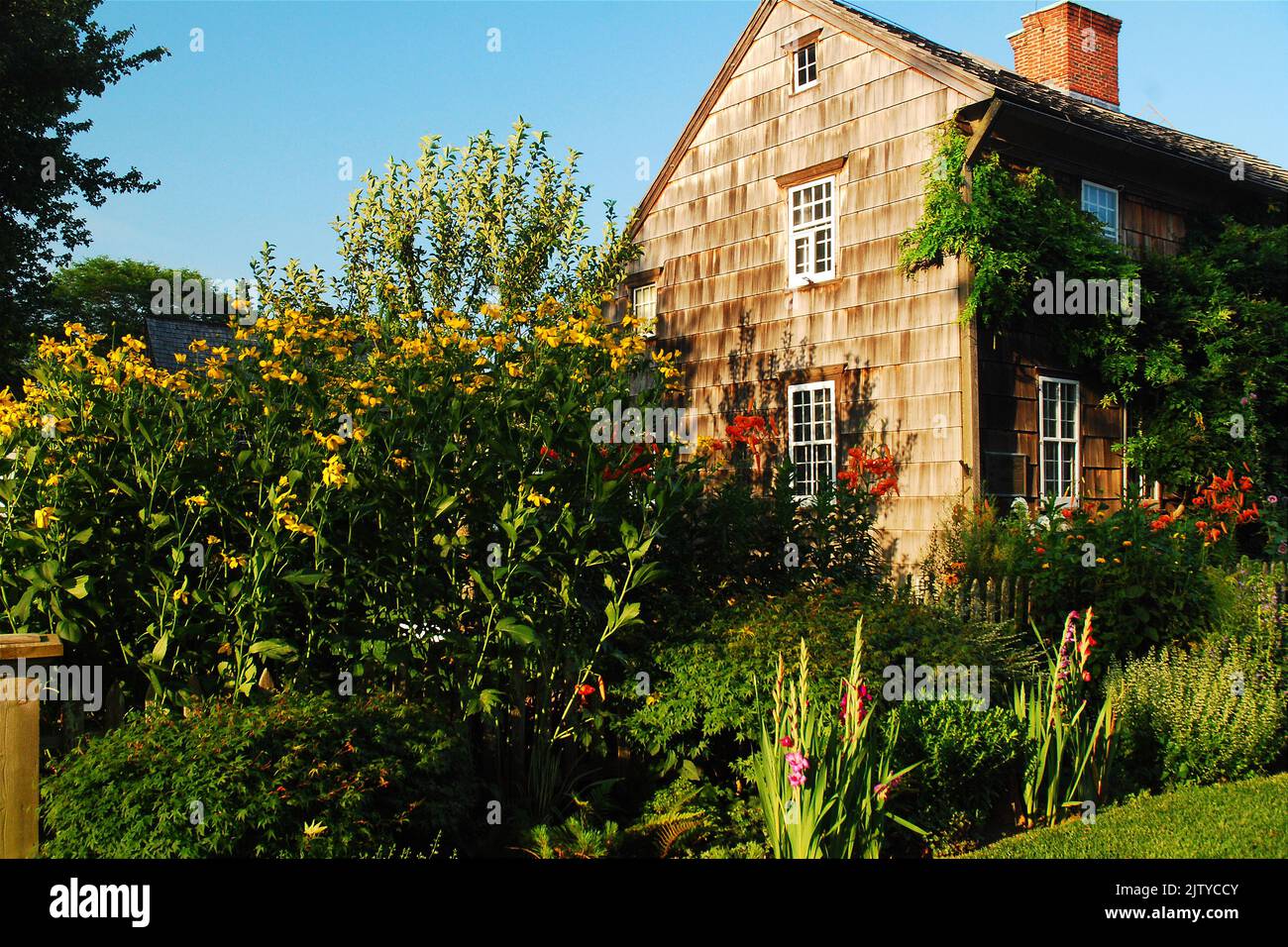Ein Sommergarten wird im Vorgarten eines historischen Bauernhauses in East Hampton, Long Island, gepflanzt Stockfoto
