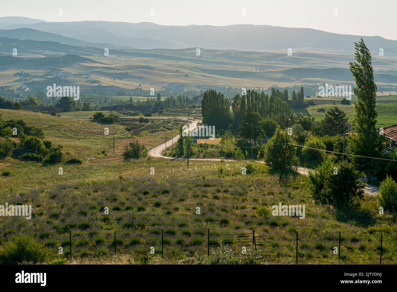 Blick auf Berge und Straße von Yazilikaya. Corum, Türkei. Stockfoto