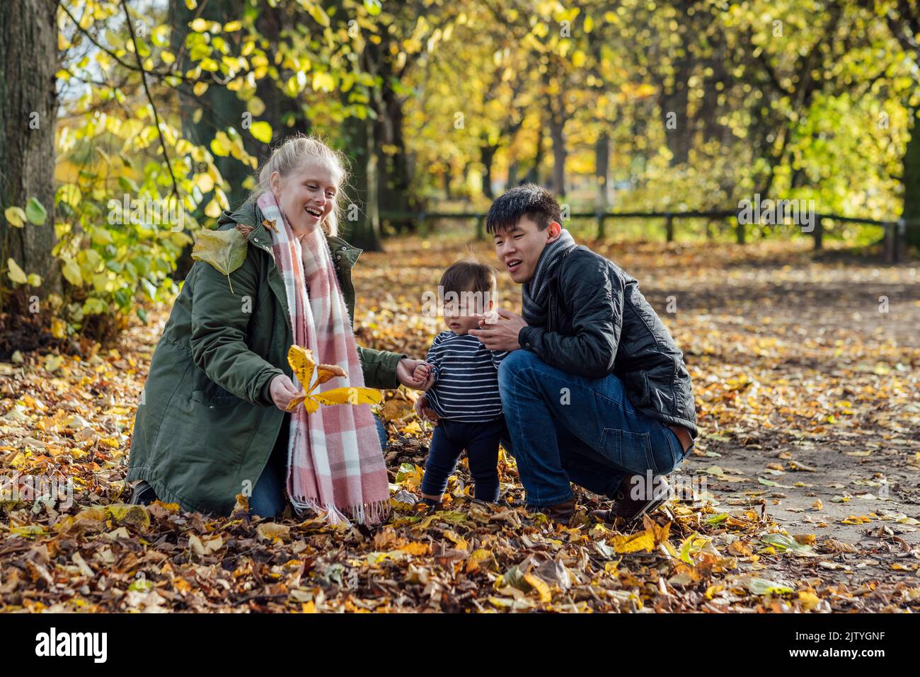 Eine Familie, die in Northumberland, Nordostengland, in der Natur hockelt und mit gefallenen Blättern spielt. Stockfoto