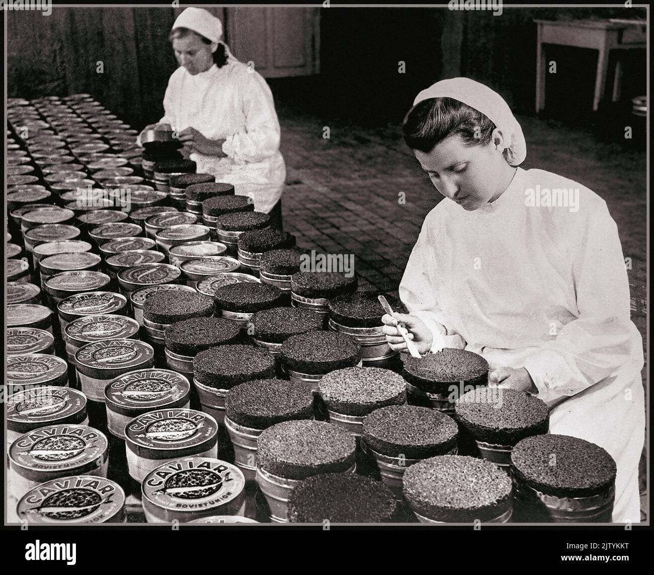 KAVIAR Jahrgang Beluga Kaviar Produktion Konservenproduktion und Qualitätskontrolllinie für den Export in Kirov Fischerei Aserbaidschan UdSSR 1940s Stockfoto