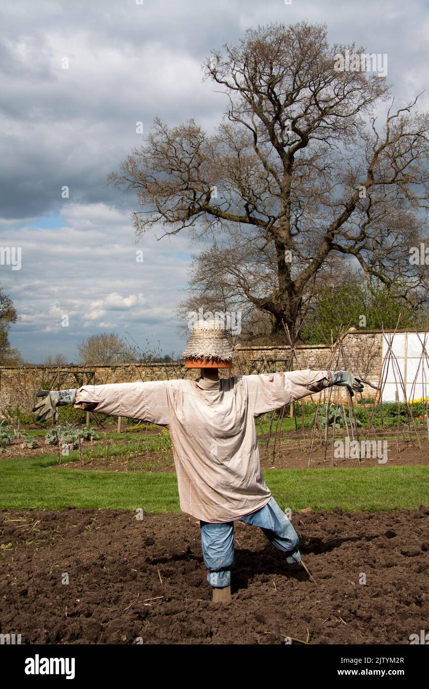 Krähenschrecker in einem Garten an einem Frühlingstag Oxfordshire England großbritannien Stockfoto