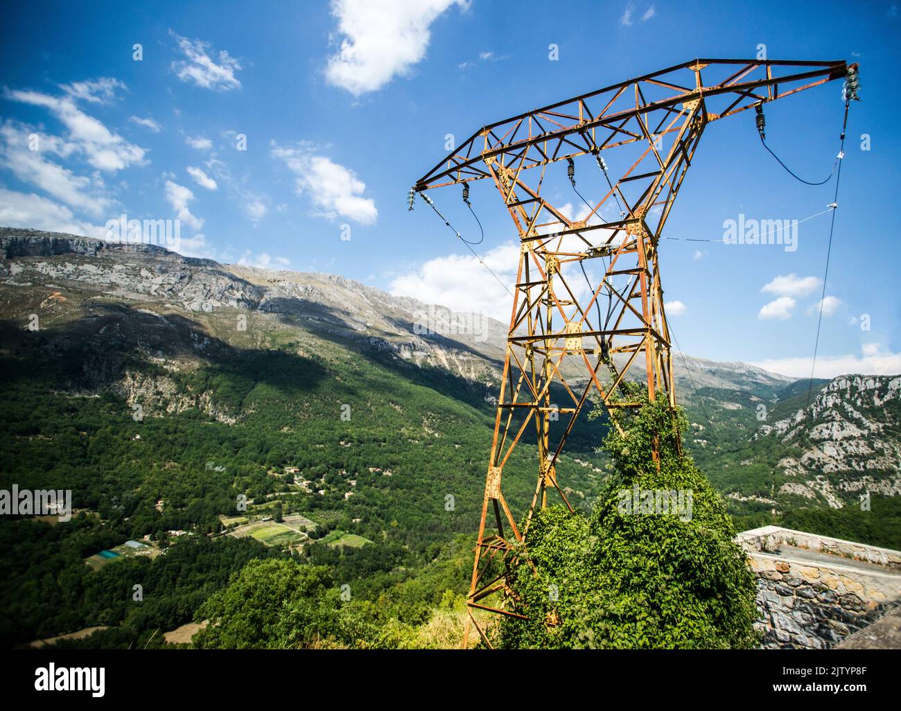 Rostiger und überwucherter Strompylon, Illustration einer alternden Energieinfrastruktur Stockfoto