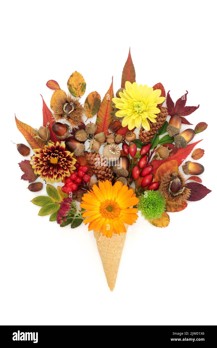 Herbst und Erntedankfest surreale Komposition mit Eiswaffeln, Kegelblättern, Blumen, Früchten, Nüssen. Natur abstrakt für den Herbst. Stockfoto