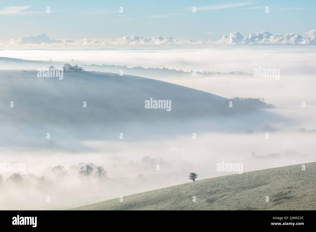 Blick über das Blackmore Ve von Melbury Hill in der Nähe von Shaftesbury, Dorset, England, Großbritannien Stockfoto