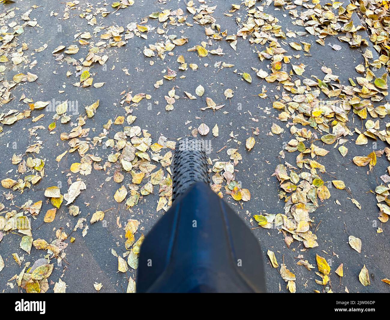 Fahrradrad fährt im Herbst auf einer Straße mit gefallenen Blättern. Selektiver Fokus Stockfoto