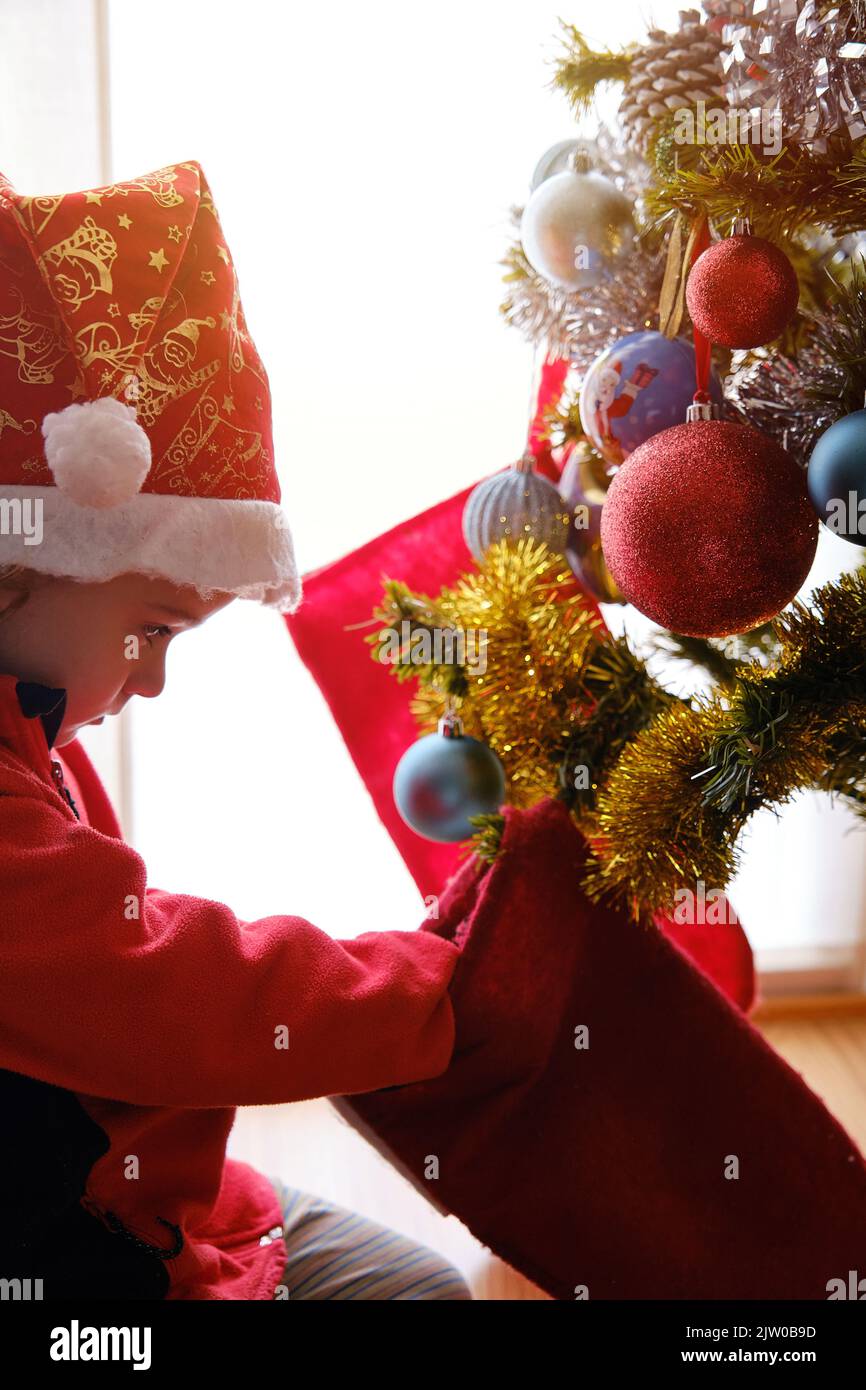 Ein netter Junge, der vor dem Weihnachtsbaum in einen Weihnachtsstrumpf schaut. Stockfoto