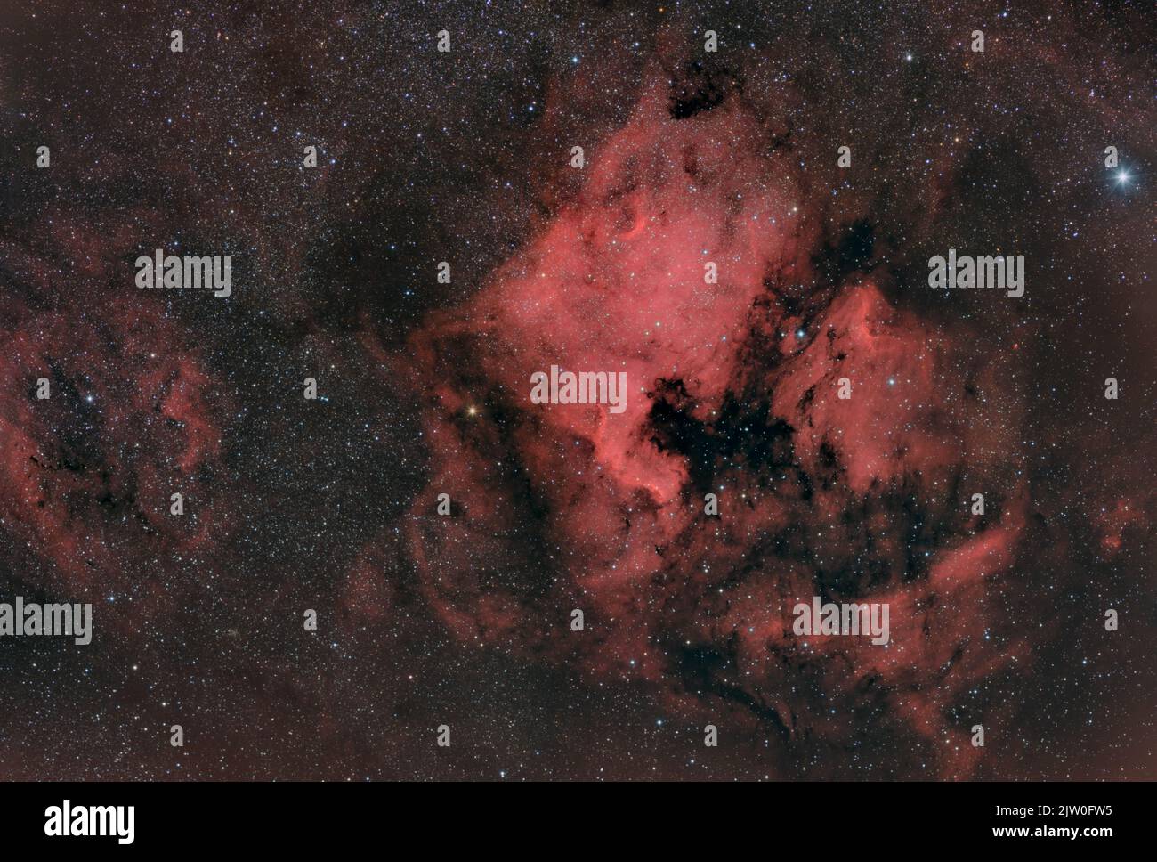 NGC 7000, IC5070 – der Nordamerika- und Pelikannebel in Cygnus Stockfoto
