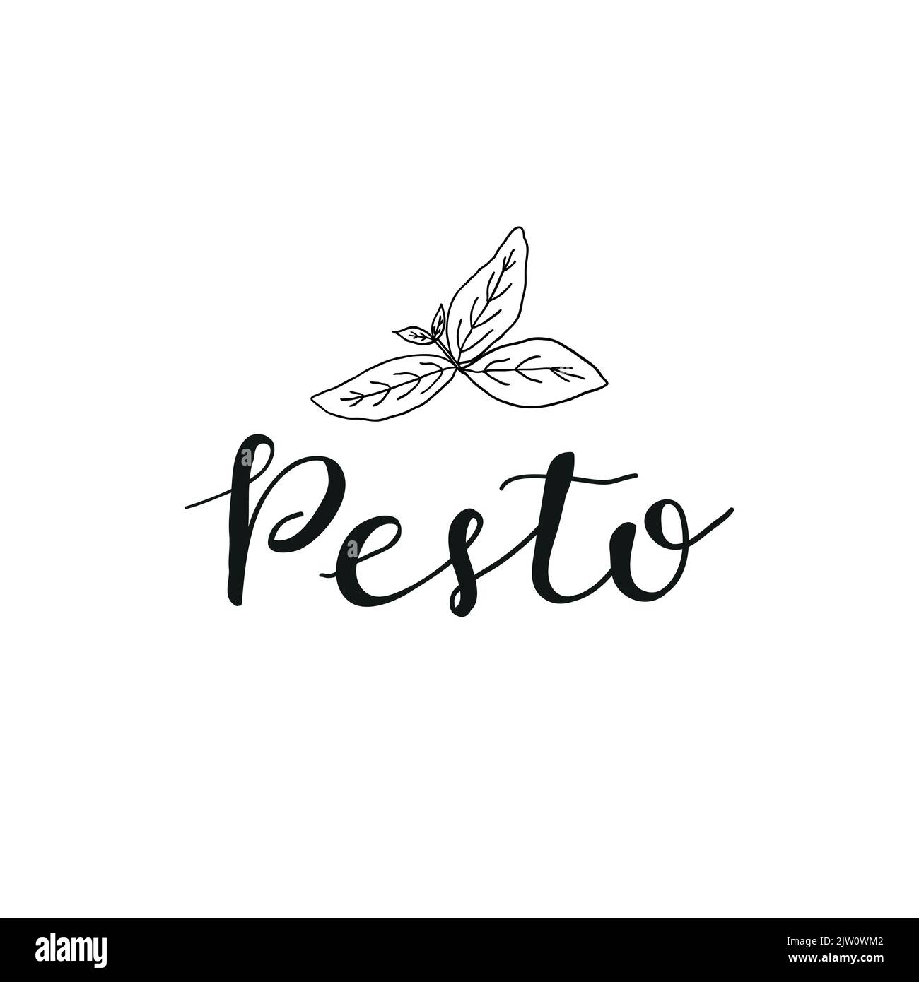 Handgeschriebenes Pesto mit Basilikumblättern isoliert auf weißem Hintergrund. Stock Vektor