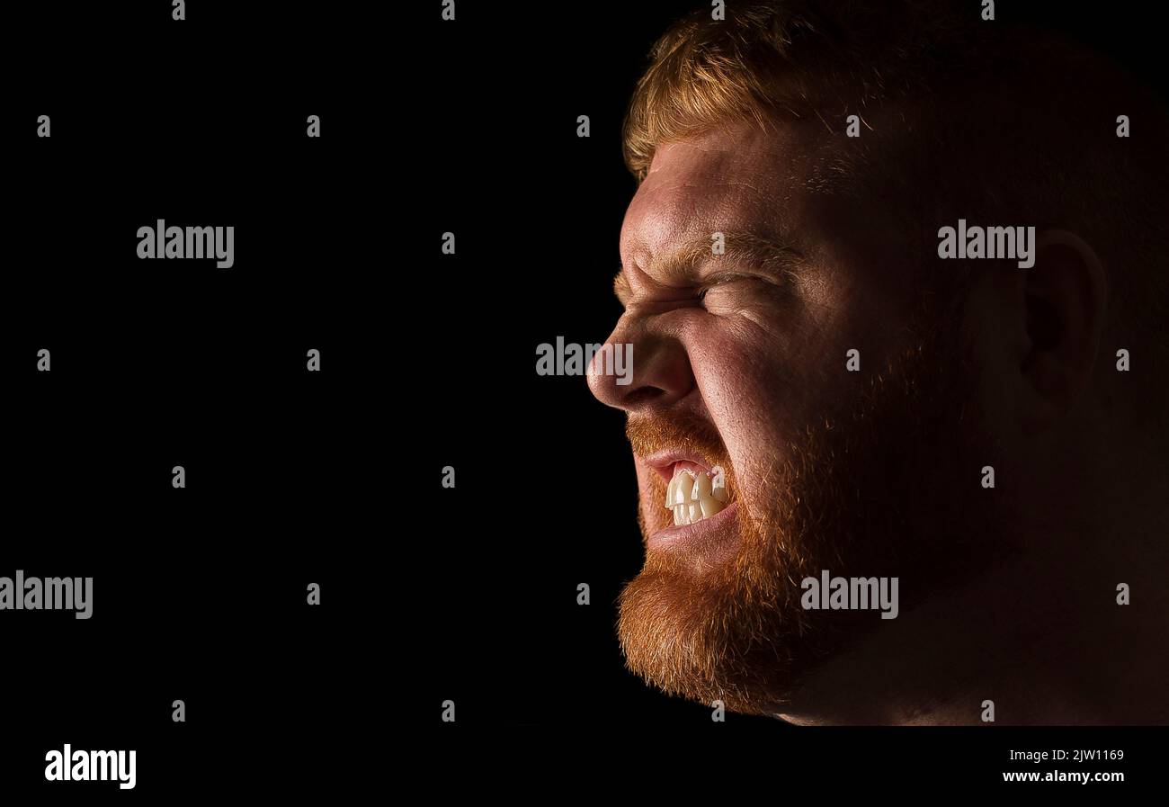 Erwachsener kaukasischer männlicher Seitenkopf, der Zähne mit einem wütenden Ausdruck zeigt. Stockfoto