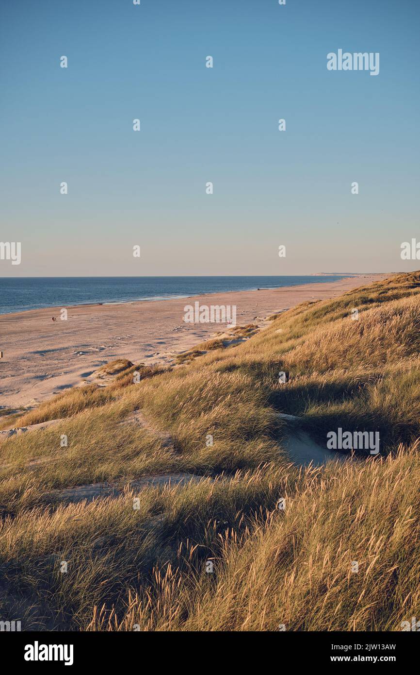 Küste bei Jammerbugt im Norden Dänemarks. Hochwertige Fotos Stockfoto