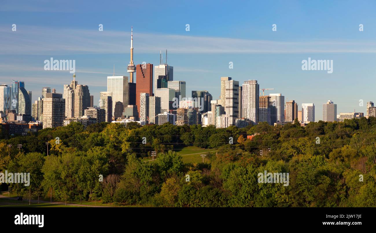 Skyline von Toronto vom Riverdale Park. Toronto, Ontario, Kanada. Stockfoto