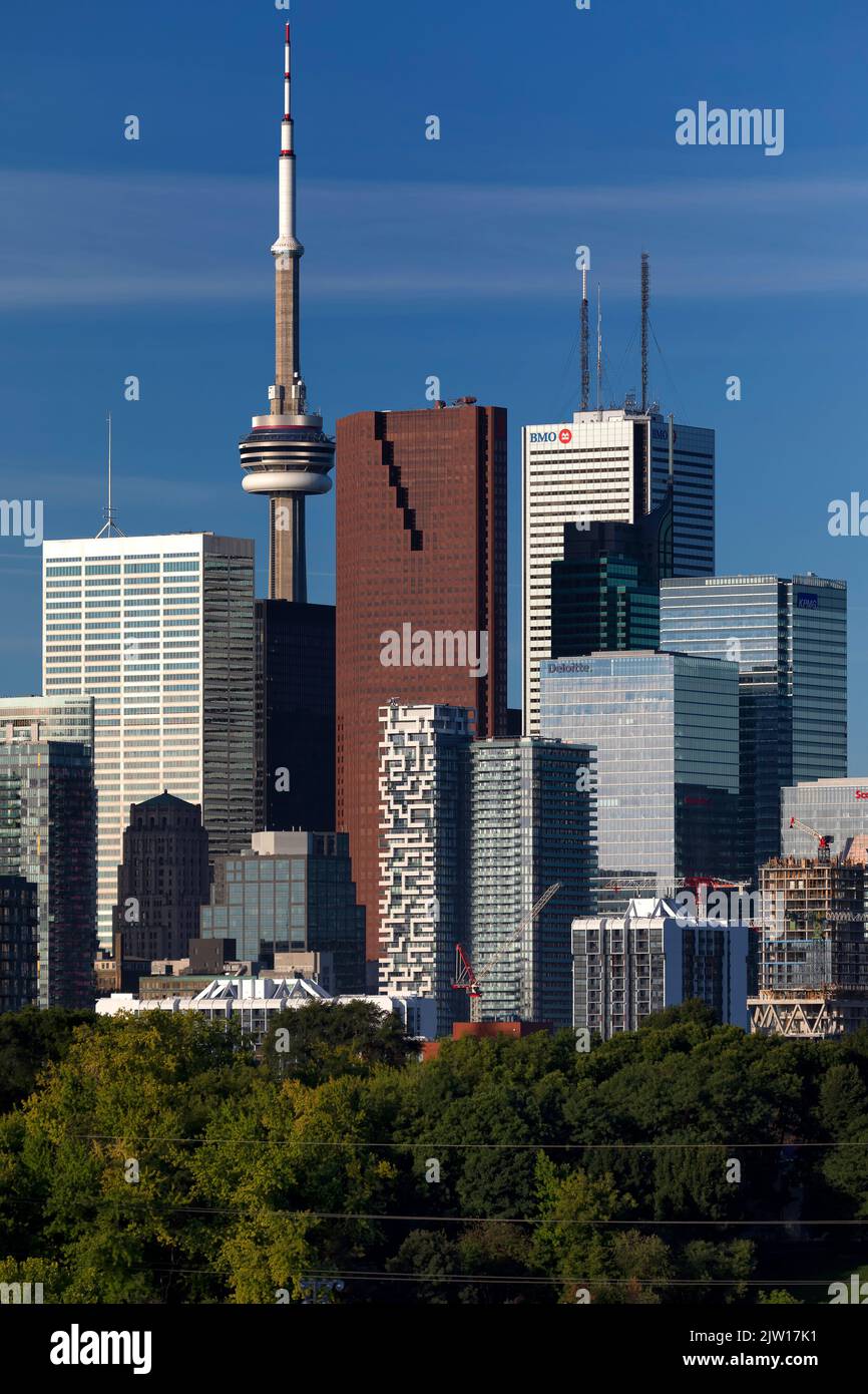 Skyline von Toronto vom Riverdale Park. Toronto, Ontario, Kanada. Stockfoto