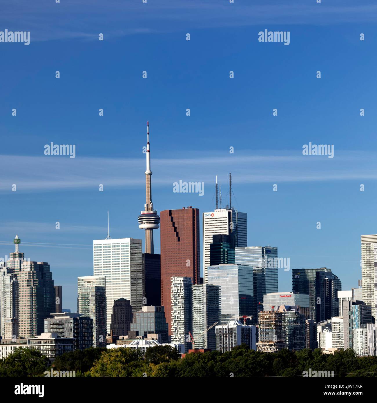 Skyline von Toronto vom Riverdale Park. Toronto, Ontario, Kanada. Stockfoto